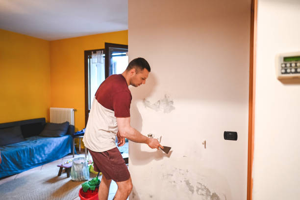 Best Post-Flood Mold Remediation in Northfield, KY
